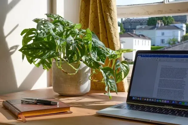 How to Be Productive at Home: 10 Tips When Working Remotely