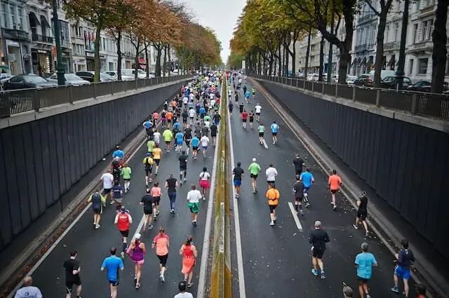 How Can You Optimize Your Physical Health