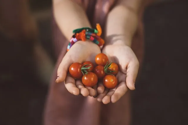 What is the power of pomodoros and why you should use it