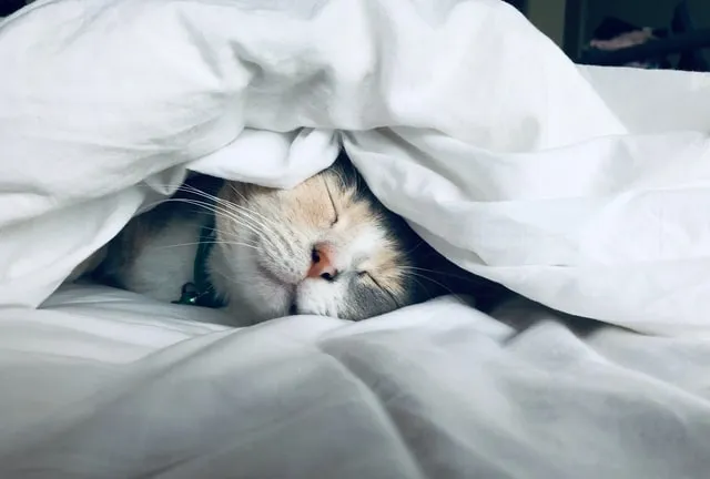 How to establish a sleep routine