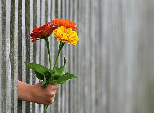 Learn How to Forgive Yourself