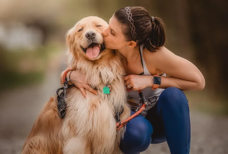 All You Need to Know About Gratitude