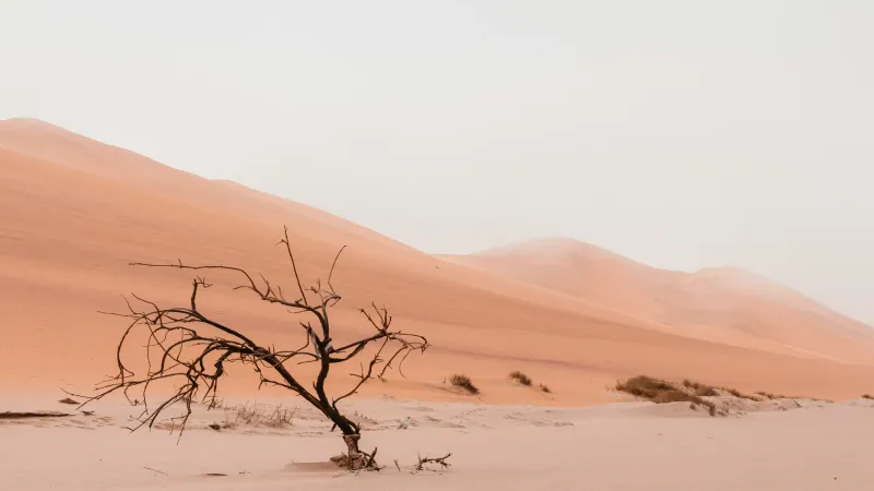 Scarcity Mindset: Is It Bad To Want More?